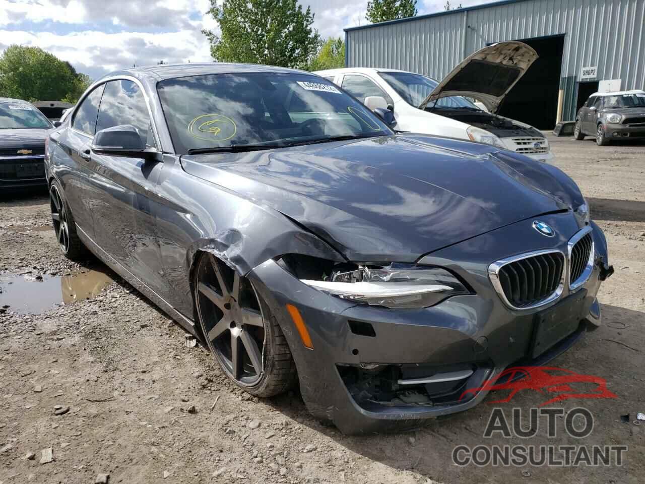 BMW 2 SERIES 2017 - WBA2H9C38HV642666