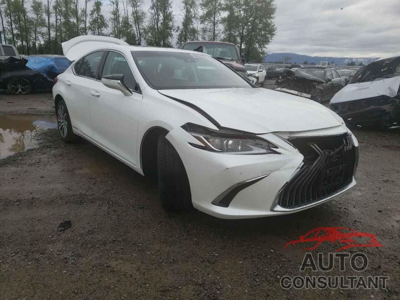 LEXUS ES300 2021 - 58ADA1C13MU012414