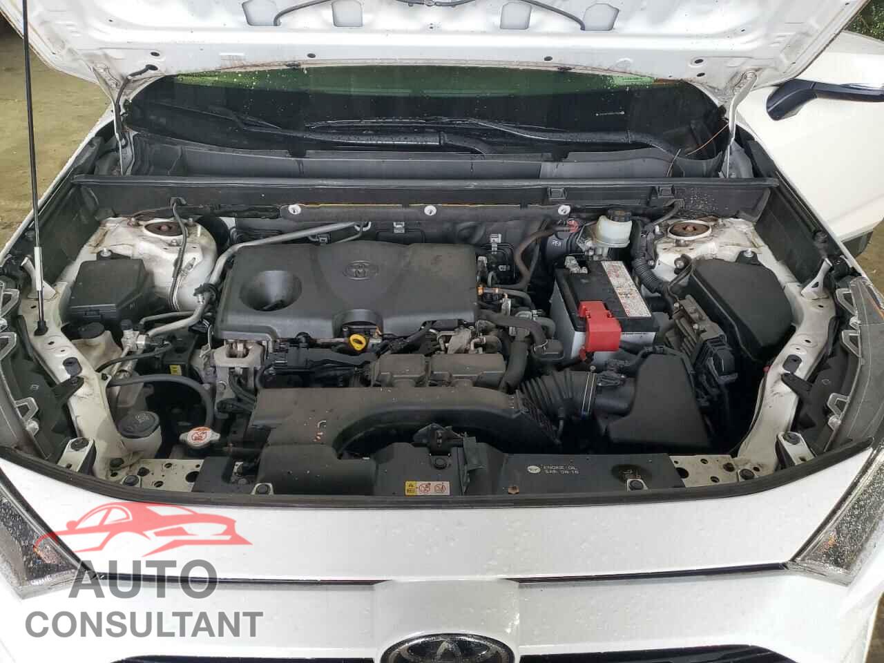 TOYOTA RAV4 2019 - JTMP1RFV9KD517568