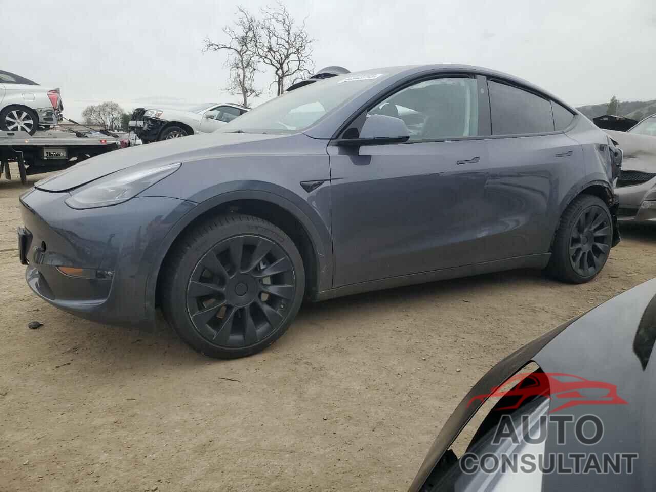 TESLA MODEL Y 2023 - 7SAYGDEE4PF879446