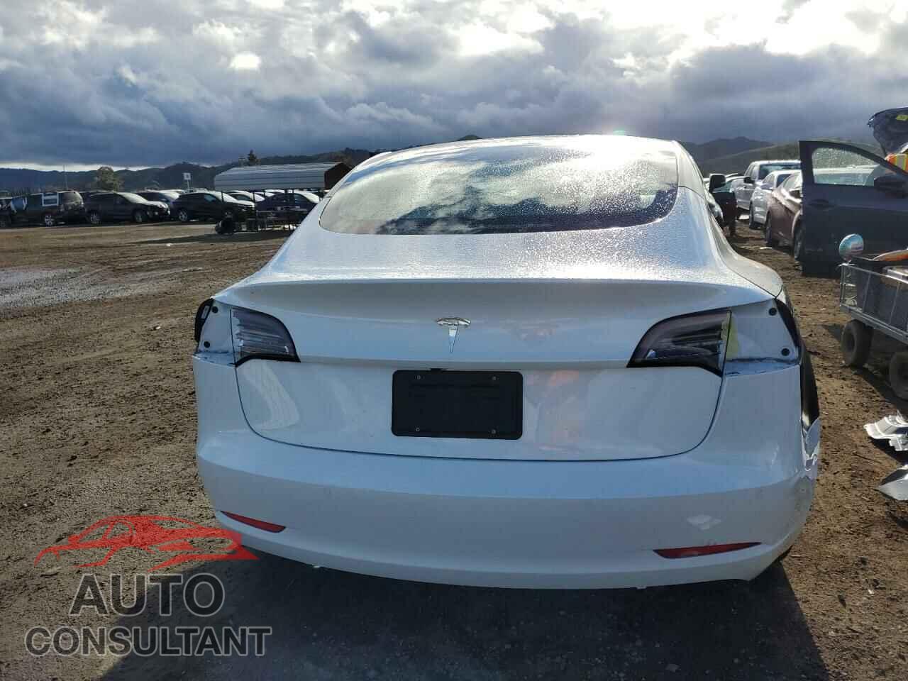 TESLA MODEL 3 2019 - 5YJ3E1EB9KF511063
