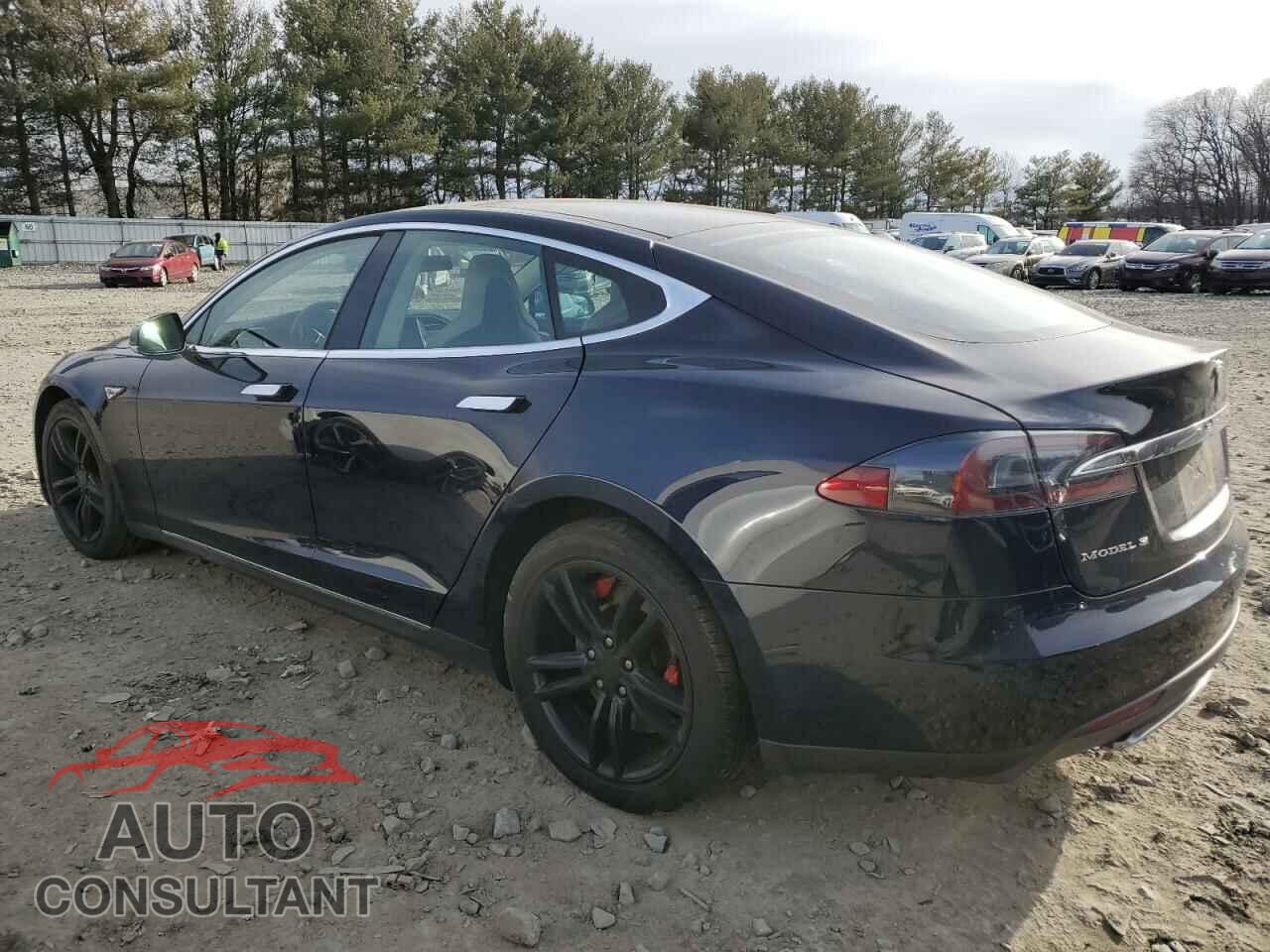 TESLA MODEL S 2014 - 5YJSA1S14EFP35316