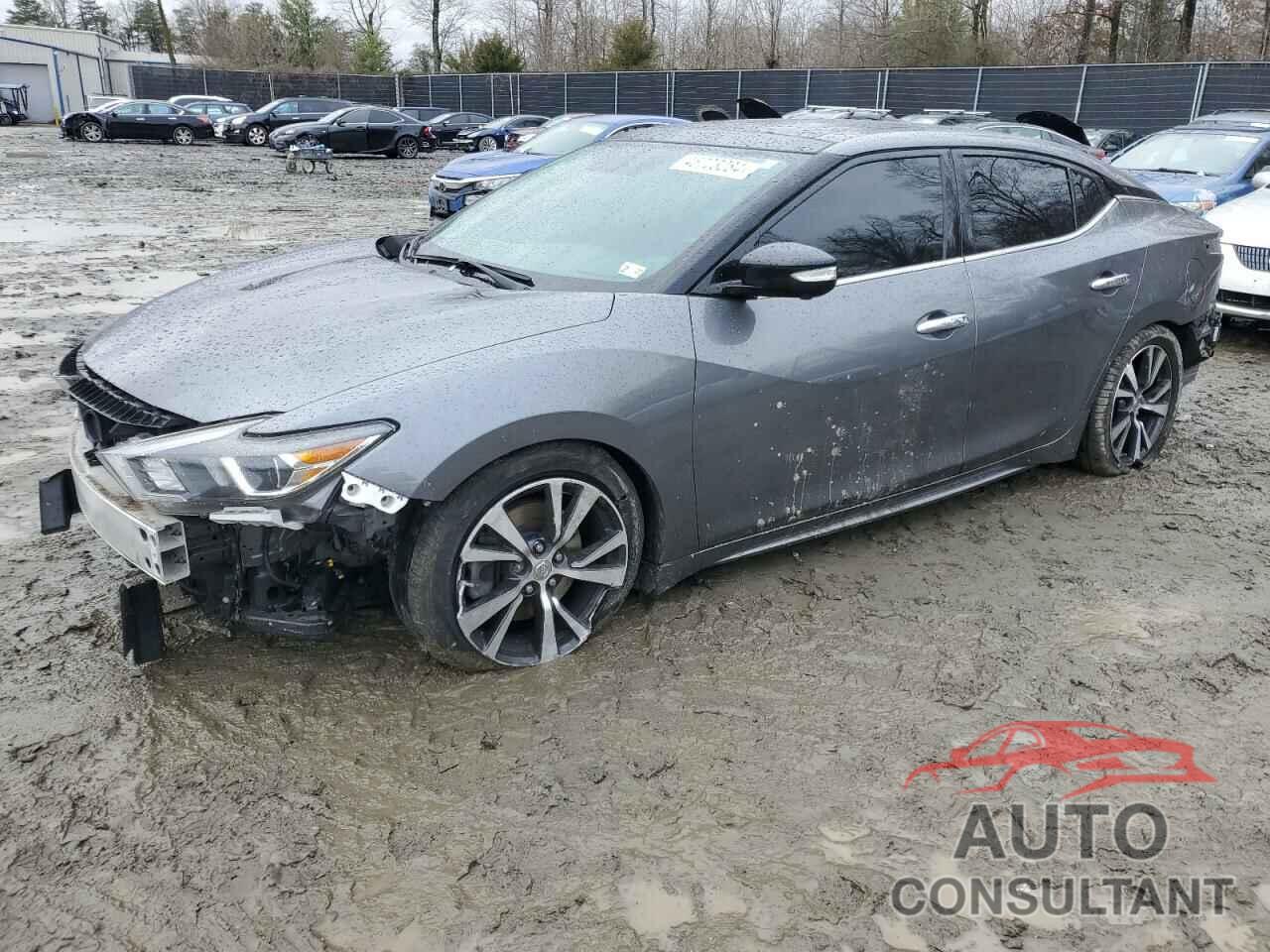 NISSAN MAXIMA 2017 - 1N4AA6AP1HC388257