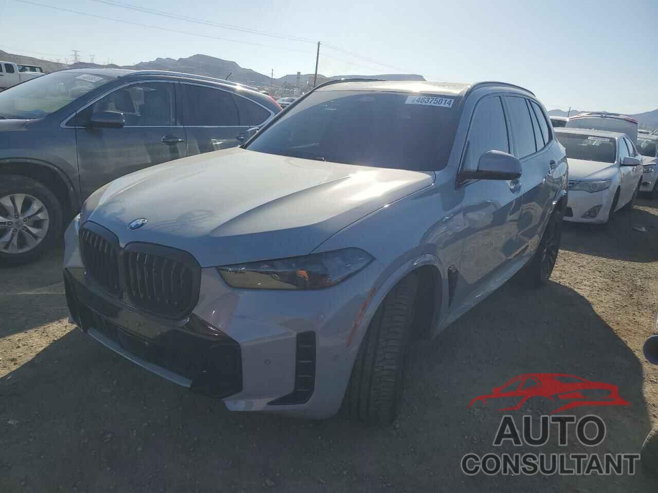 BMW X5 2024 - 5UX13EU00R9S72476