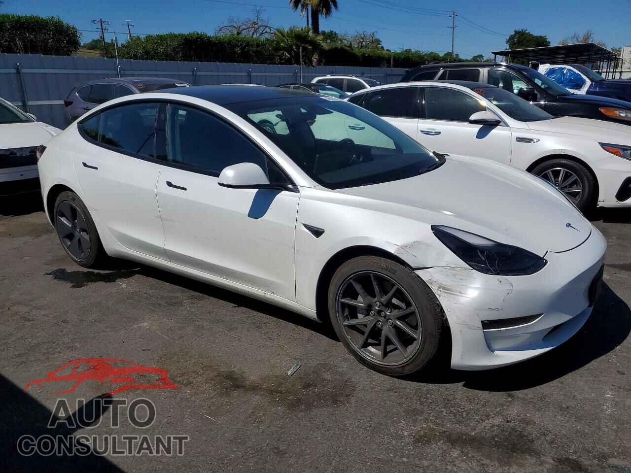 TESLA MODEL 3 2021 - 5YJ3E1EB6MF879042