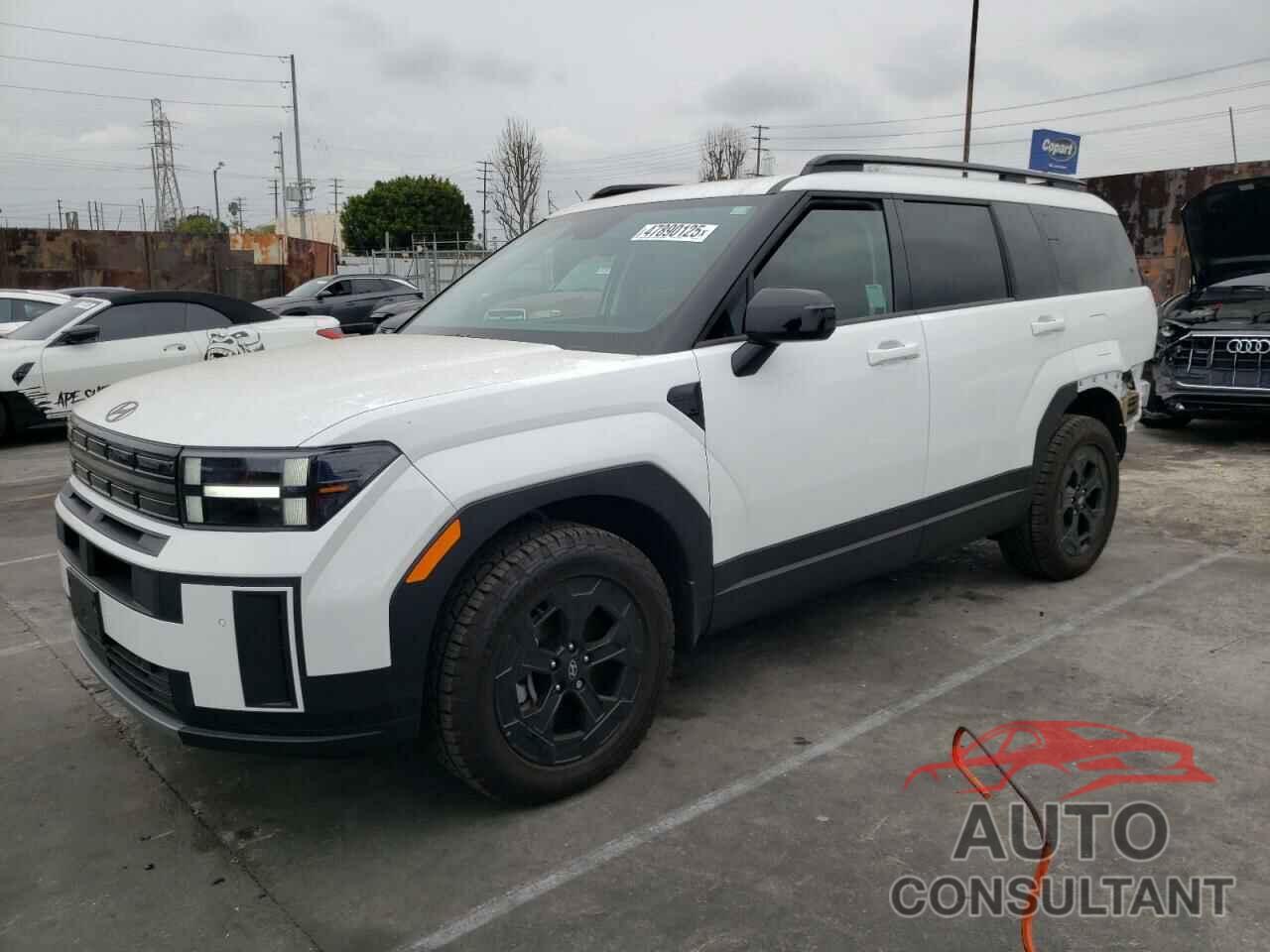 HYUNDAI SANTA FE 2024 - 5NMP3DGL7RH000376