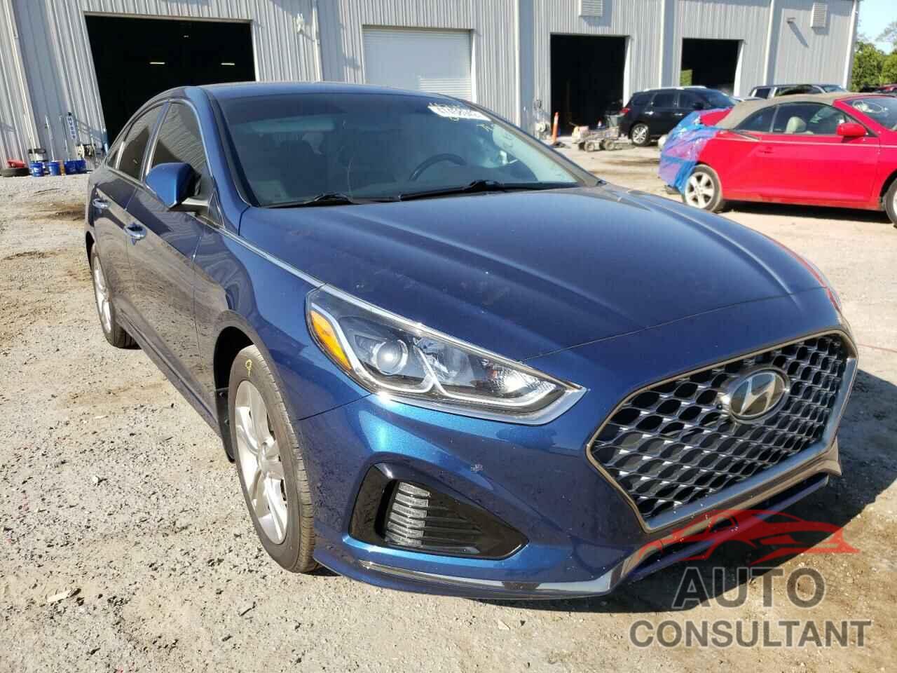 HYUNDAI SONATA 2019 - 5NPE34AF9KH798401