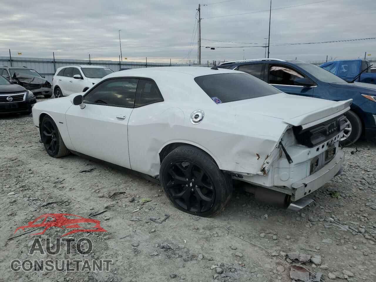 DODGE CHALLENGER 2019 - 2C3CDZBT9KH652017