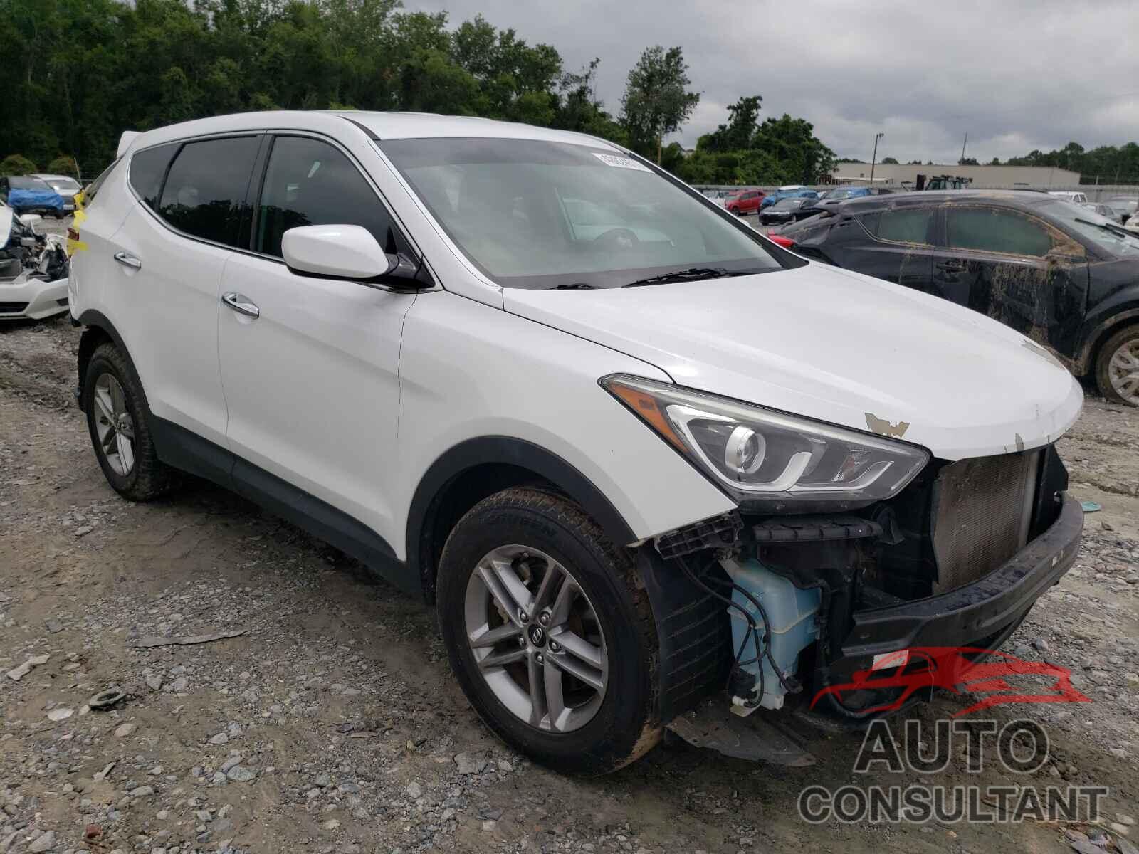 HYUNDAI SANTA FE 2017 - 5NMZT3LB8HH010610