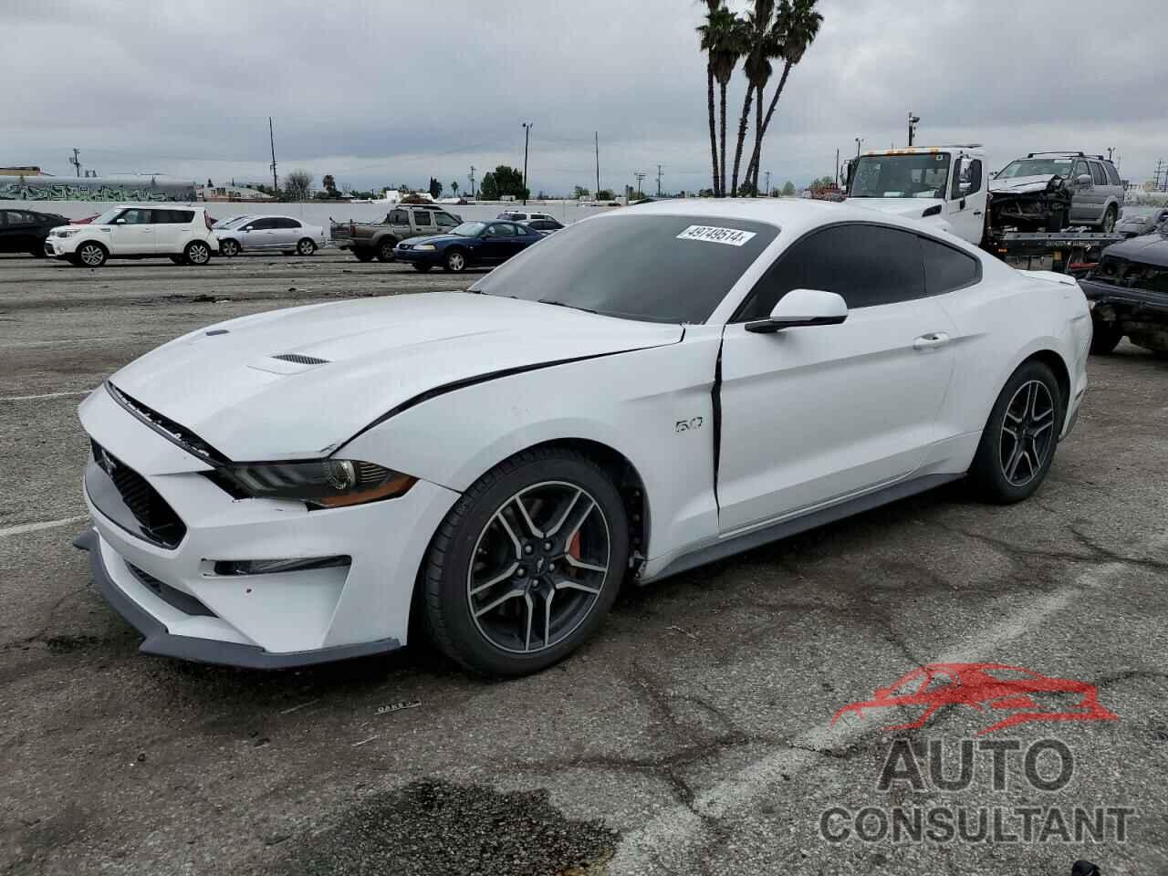 FORD MUSTANG 2019 - 1FA6P8CF3K5193535