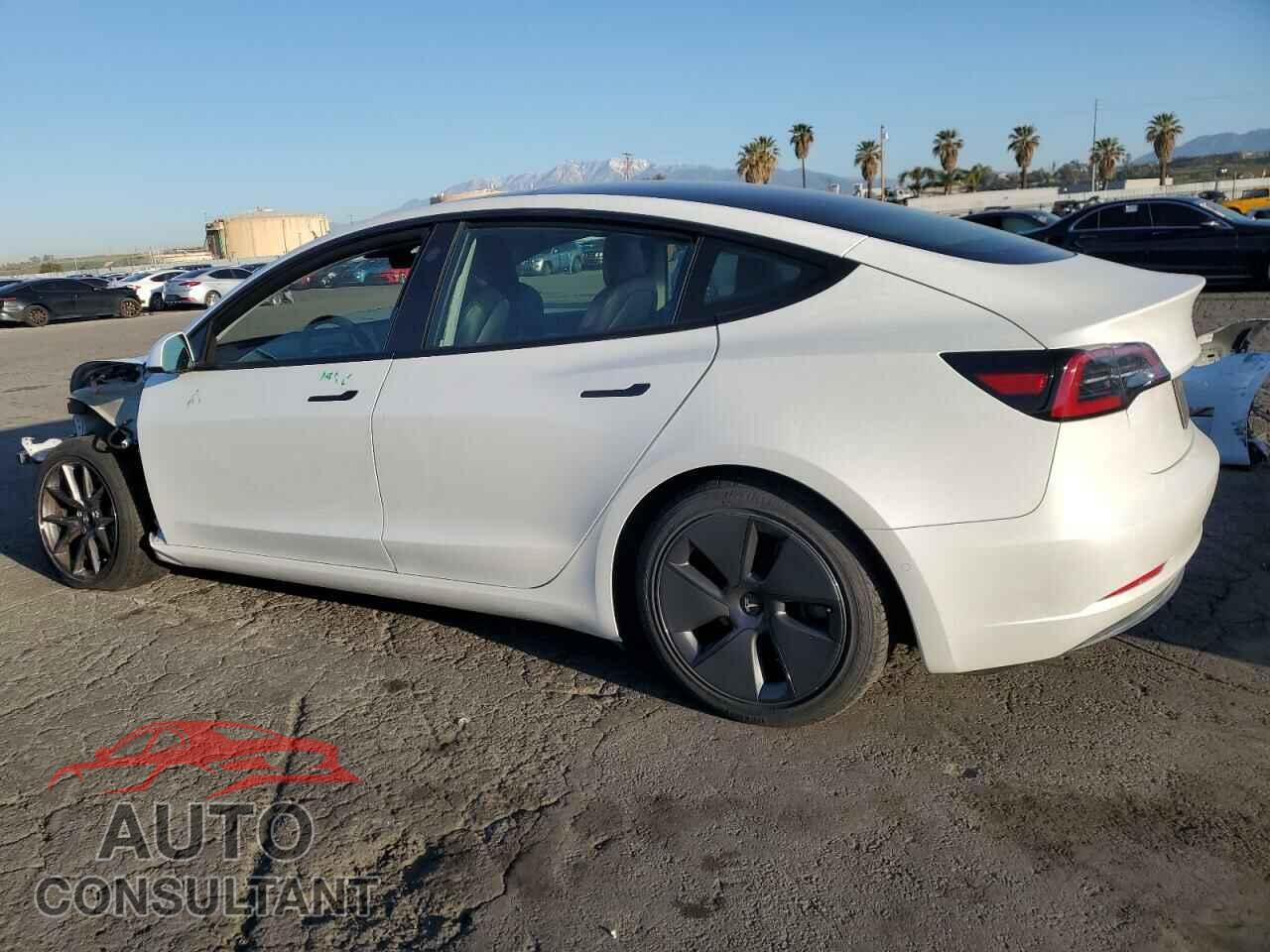 TESLA MODEL 3 2021 - 5YJ3E1EA2MF021218