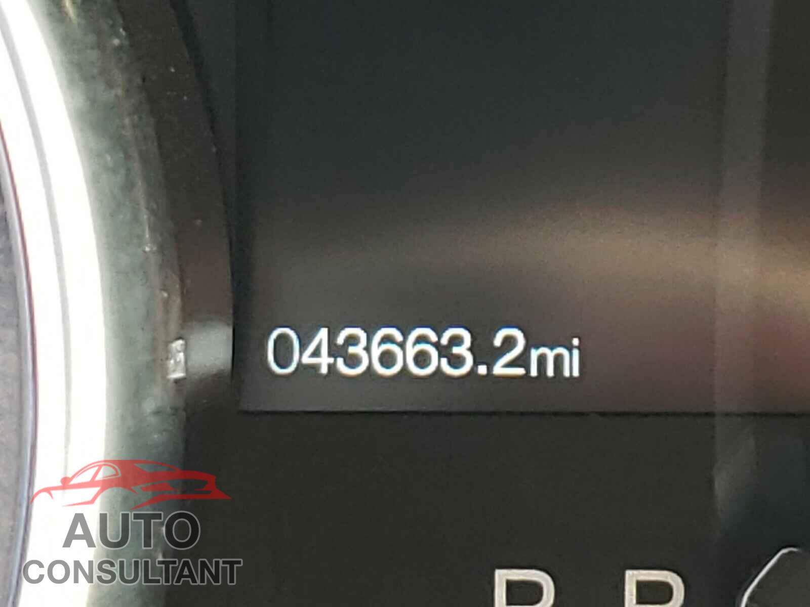 FORD MUSTANG 2019 - 1FATP8UH4K5151040