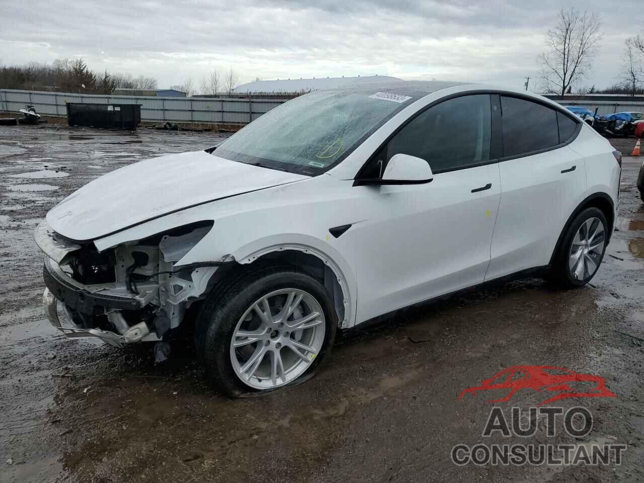 TESLA MODEL Y 2021 - 5YJYGDEE4MF297792
