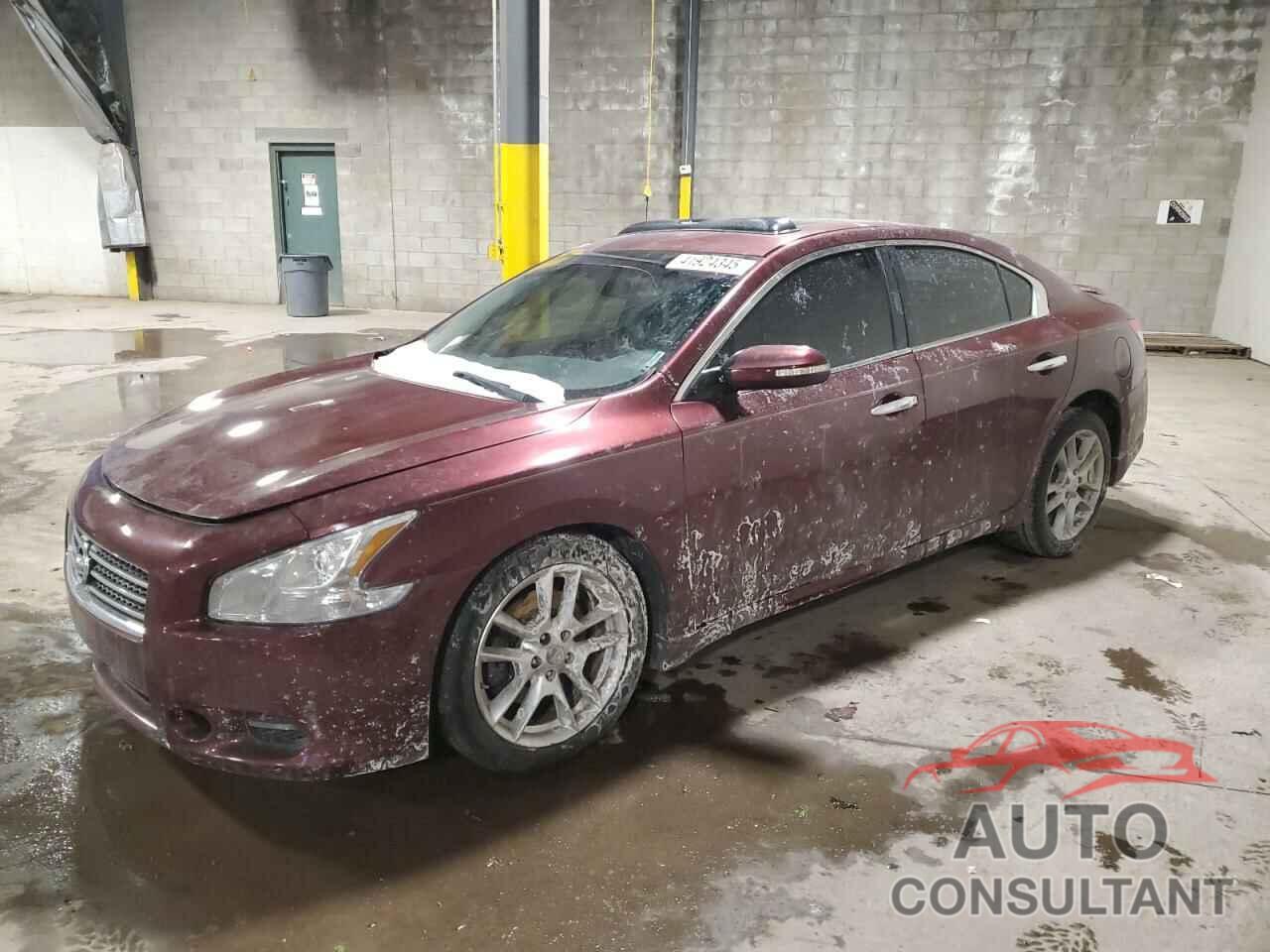 NISSAN MAXIMA 2010 - 1N4AA5AP5AC857981
