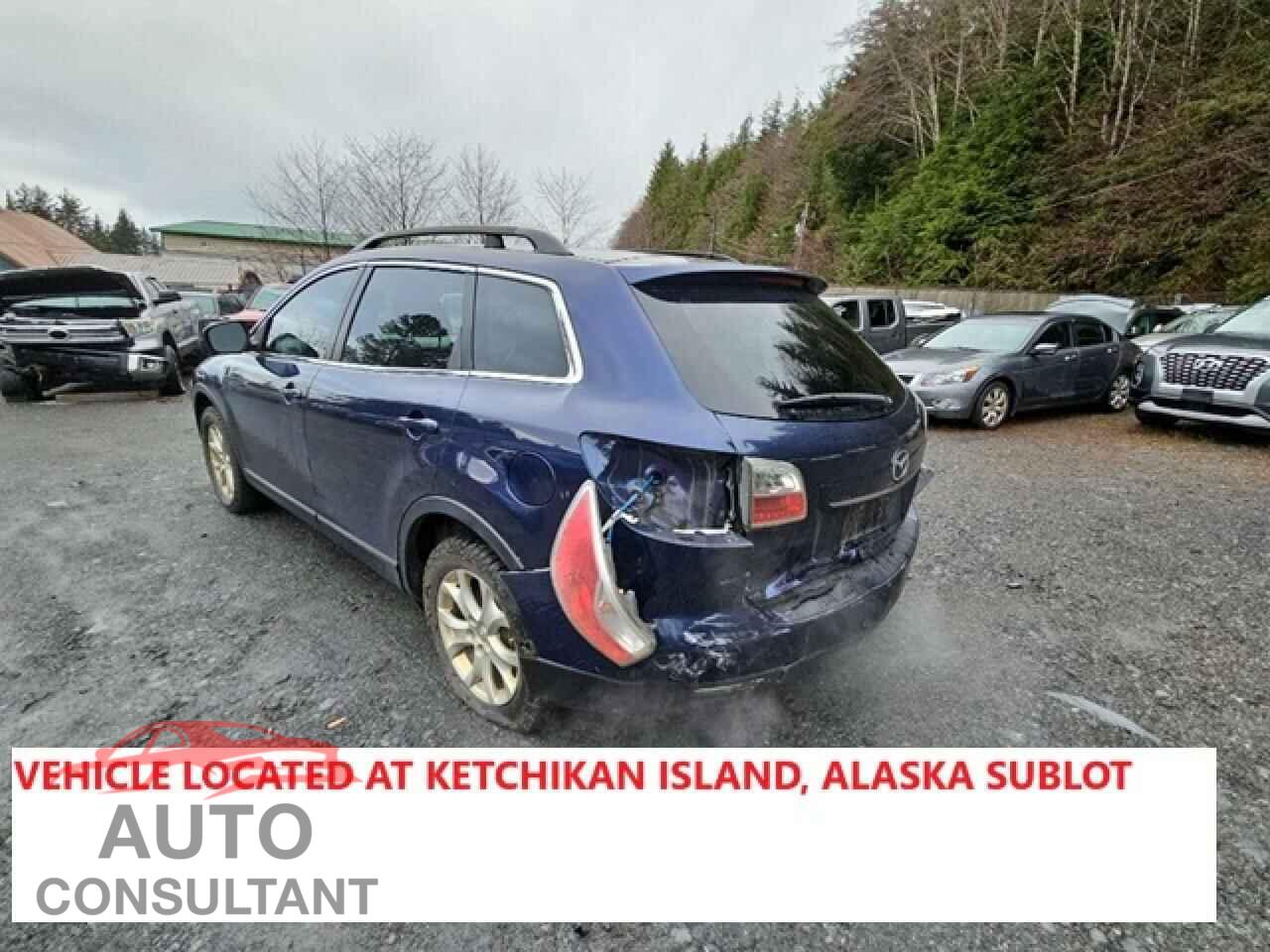 MAZDA CX-9 2011 - JM3TB3CV2B0321628