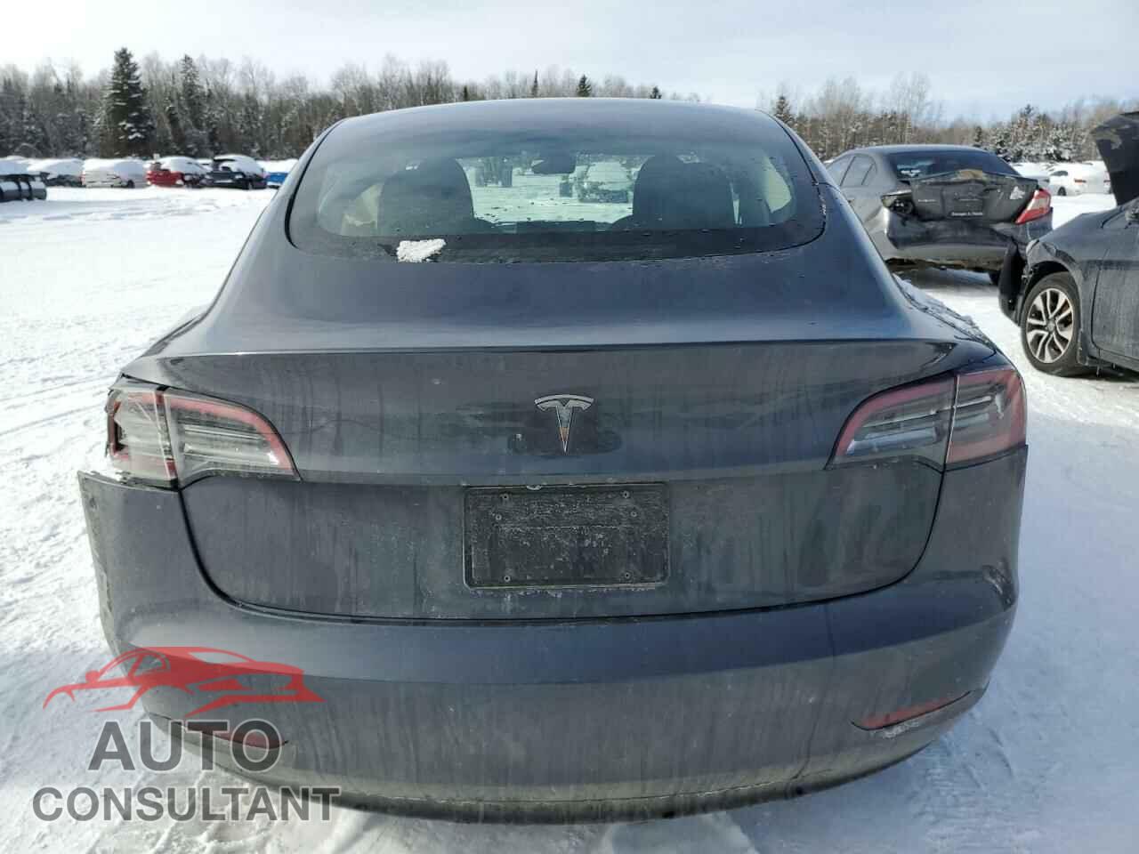 TESLA MODEL 3 2023 - LRW3E1FA5PC945276