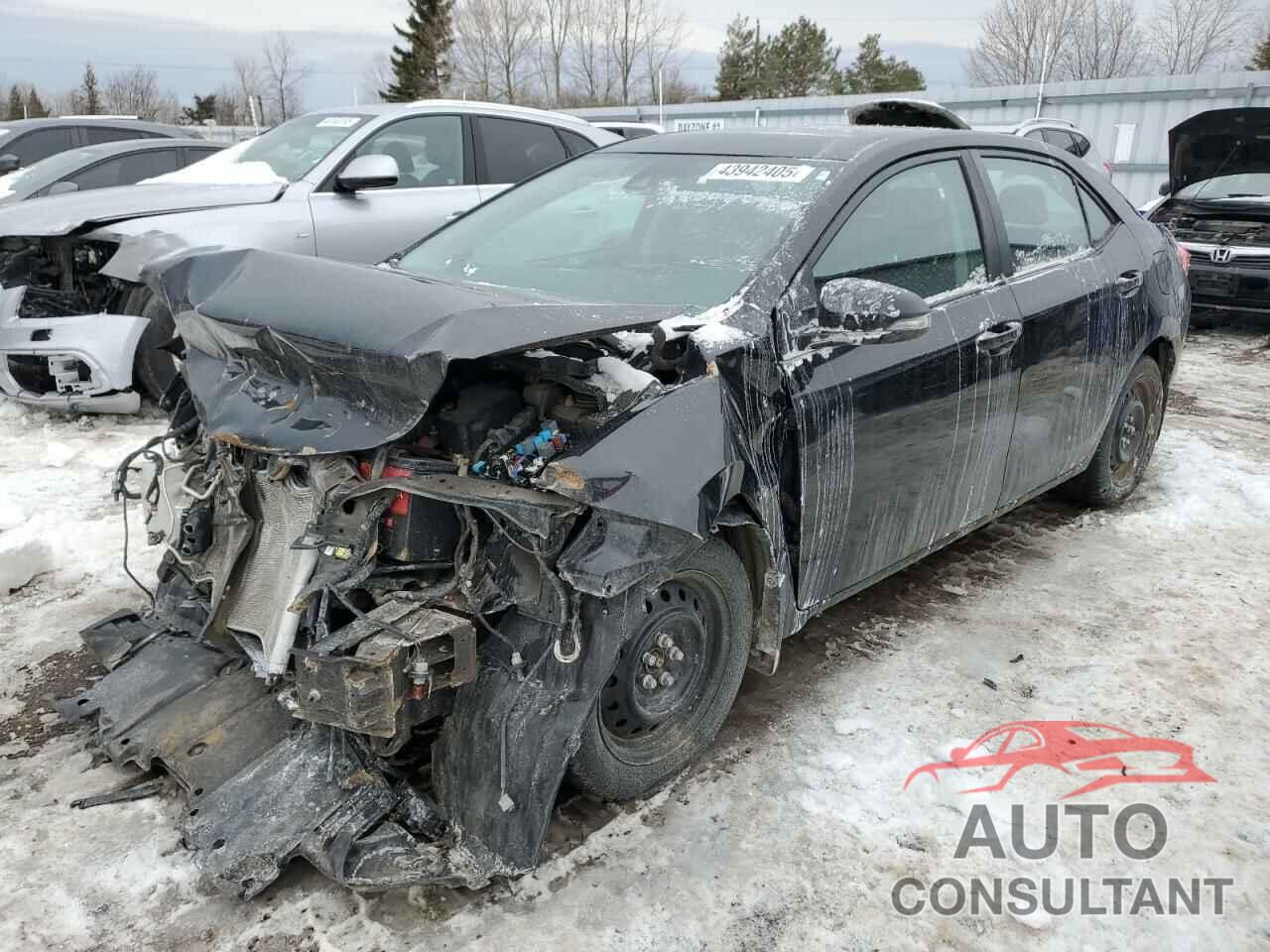 TOYOTA COROLLA 2018 - 2T1BURHE9JC037248