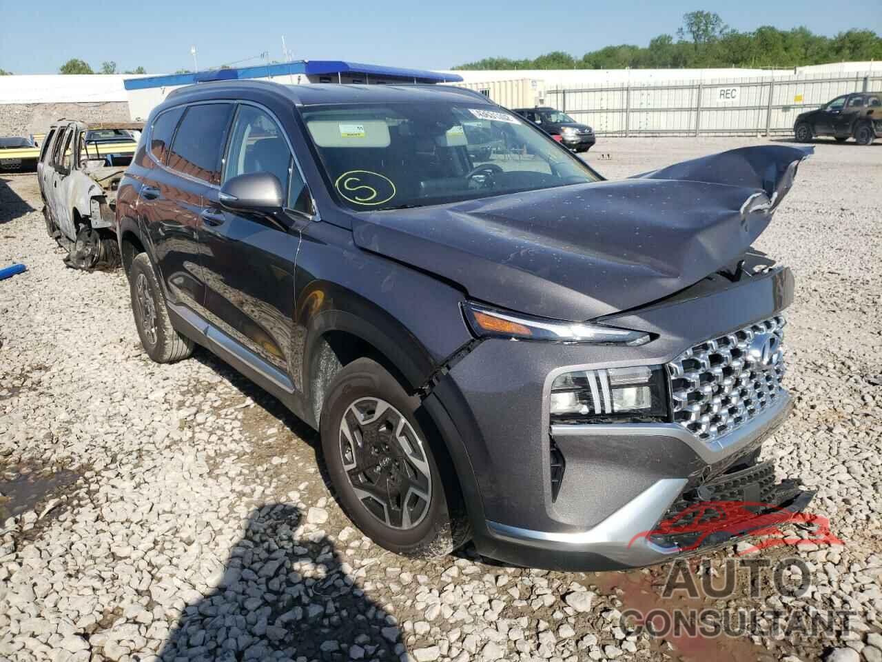 HYUNDAI SANTA FE 2022 - KM8S2DA14NU026419