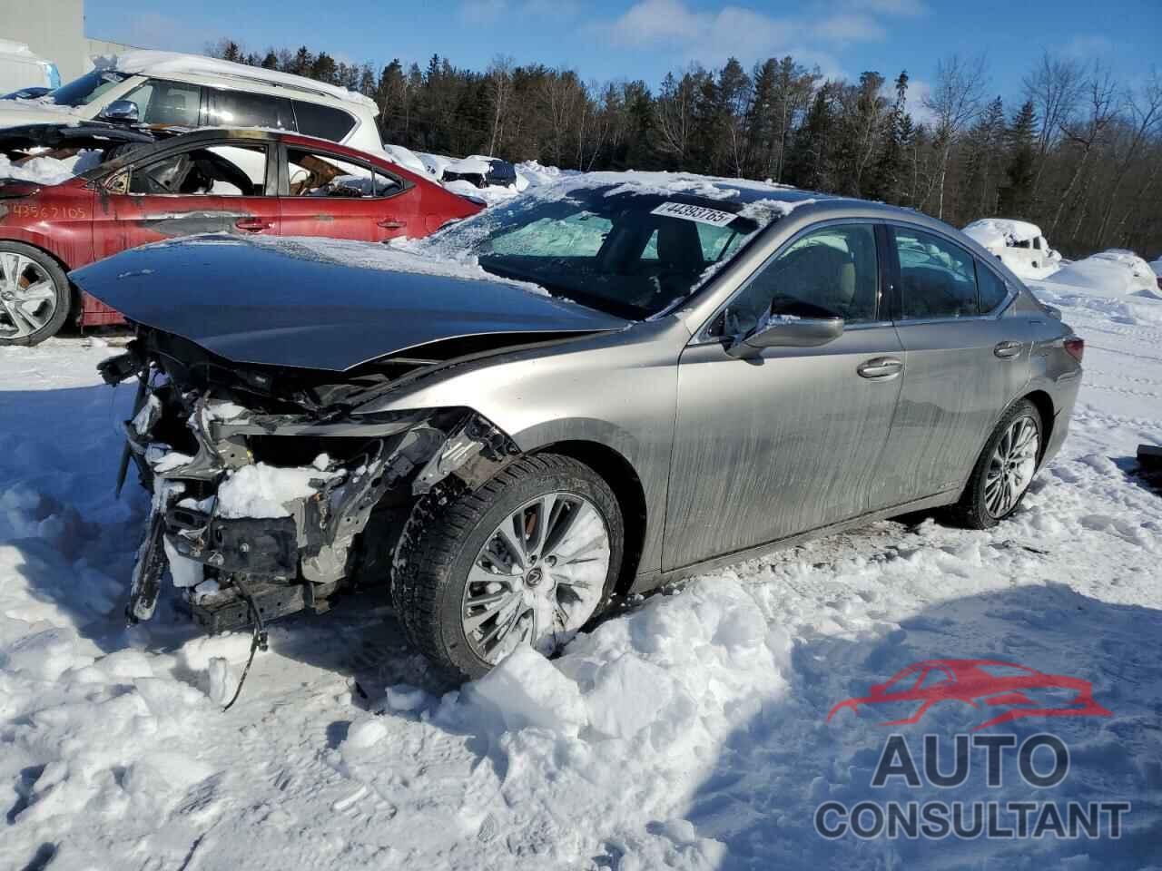 LEXUS ES300 2021 - 58AB21B16MU012851