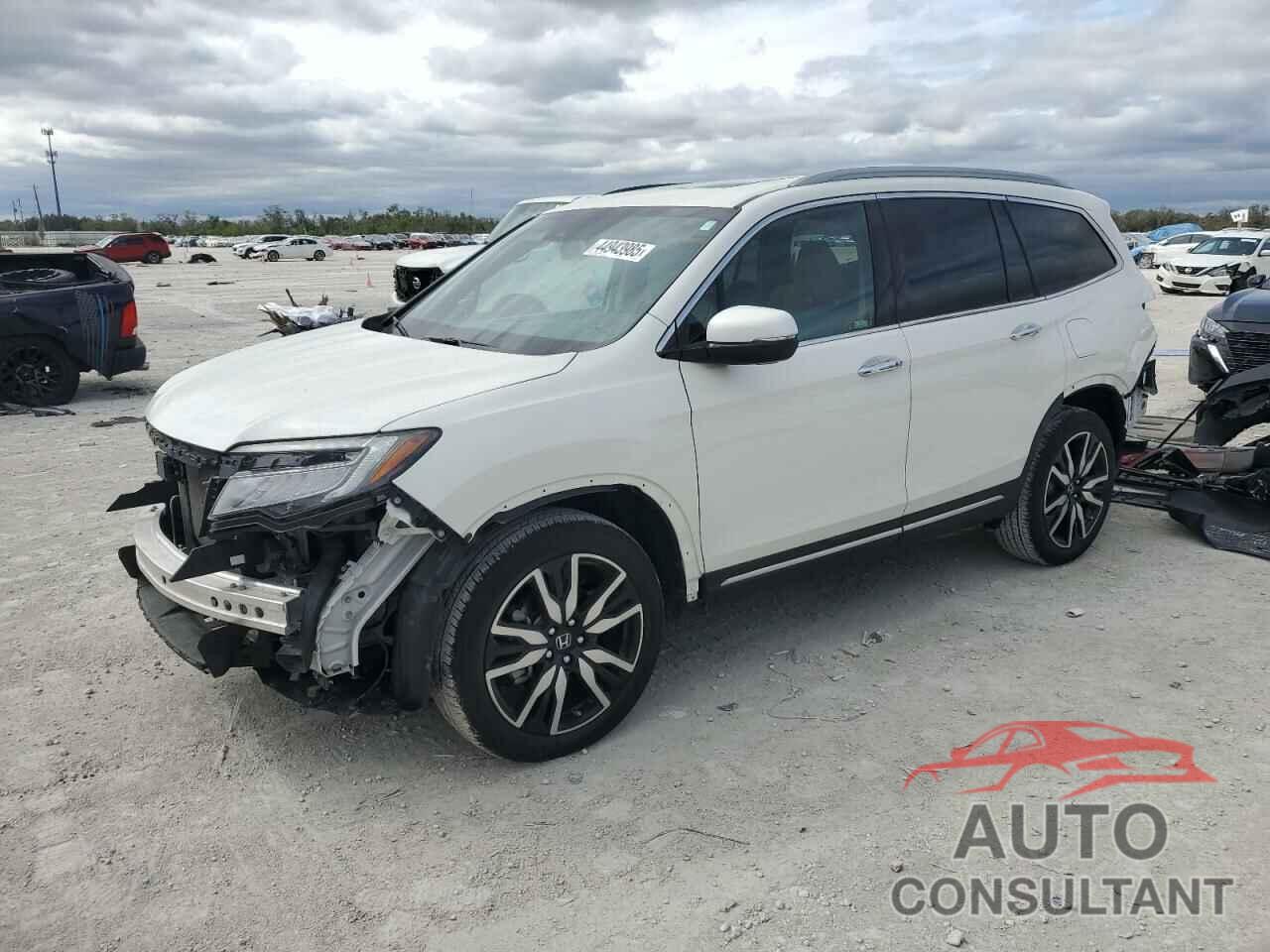 HONDA PILOT 2019 - 5FNYF6H92KB073348