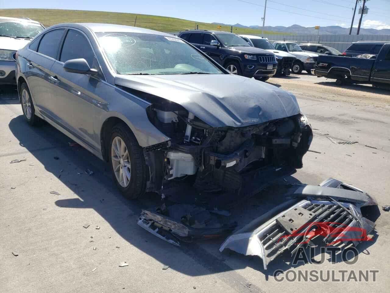 HYUNDAI SONATA 2019 - 5NPE24AF7KH769336