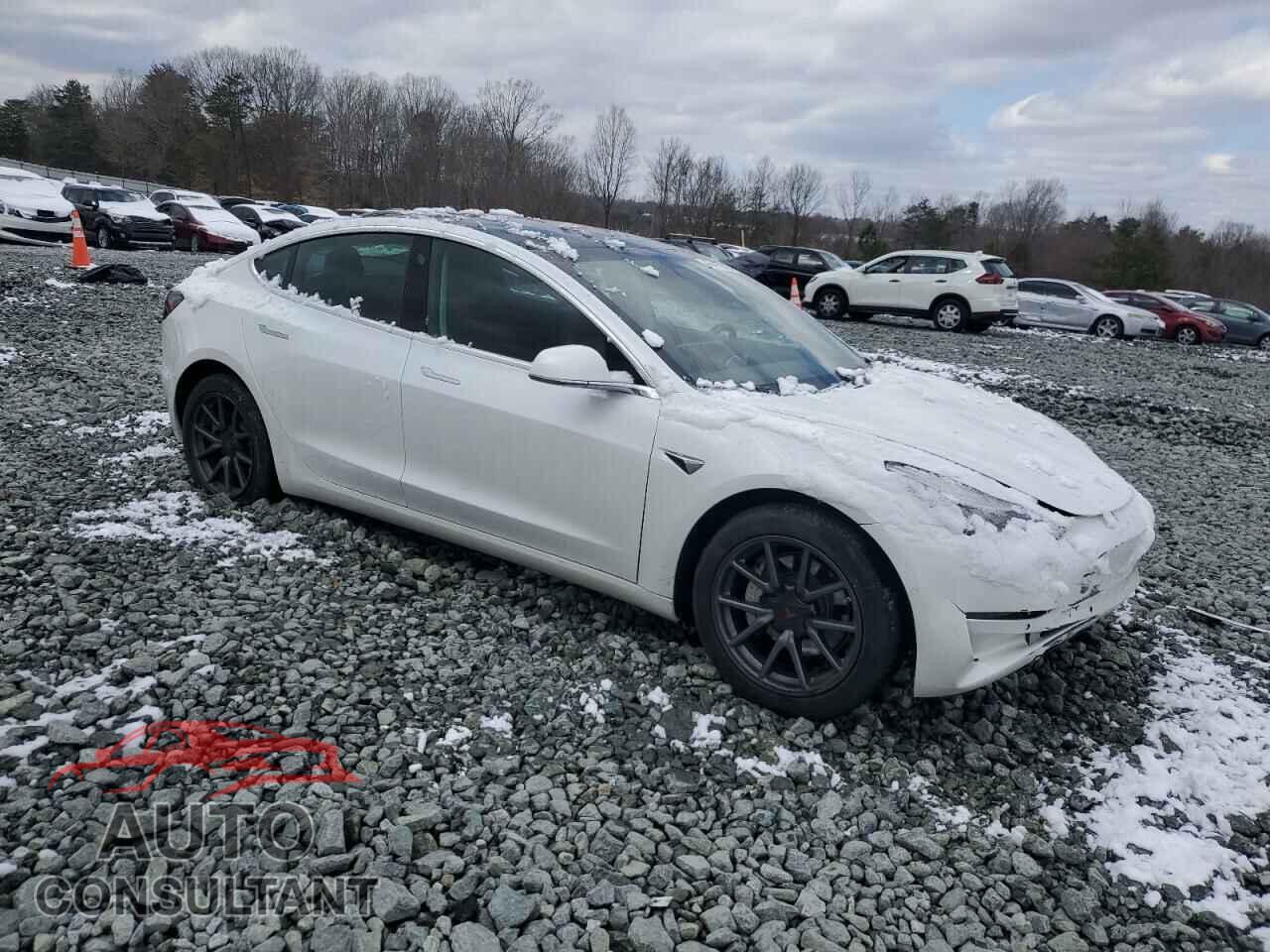 TESLA MODEL 3 2020 - 5YJ3E1EA2LF737423