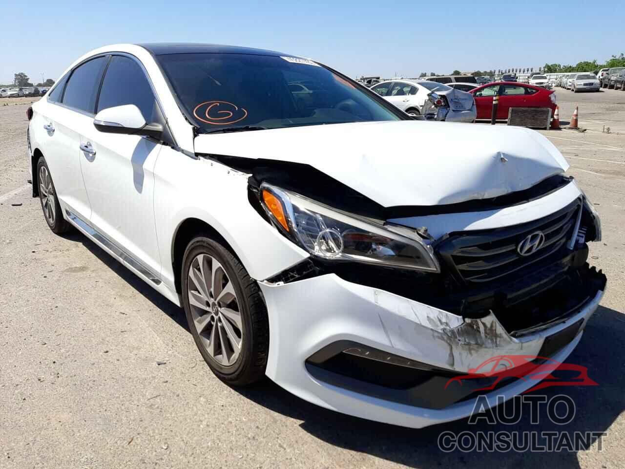 HYUNDAI SONATA 2016 - 5NPE34AF7GH413408