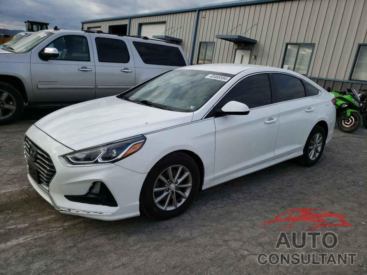 HYUNDAI SONATA 2019 - 5NPE24AF2KH787209