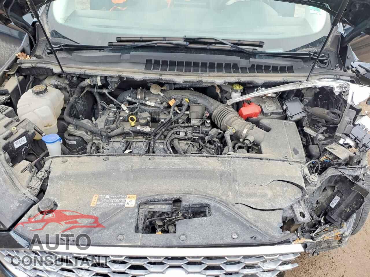 FORD EDGE 2024 - 2FMPK4J90RBA33455
