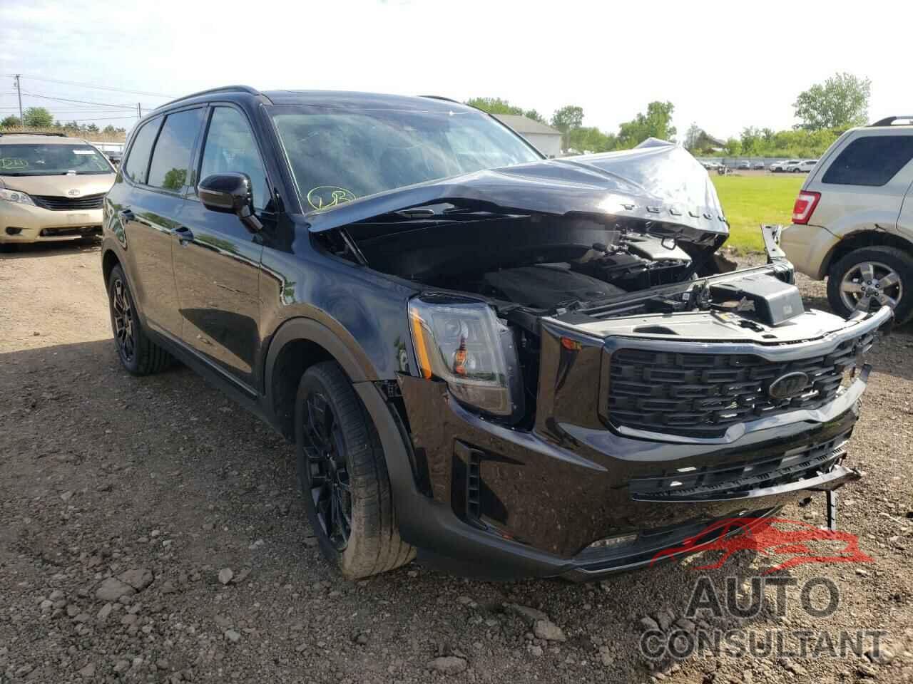 KIA TELLURIDE 2021 - 5XYP5DHC5MG129986