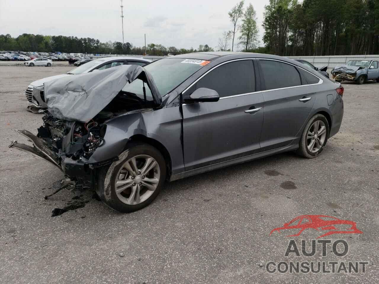 HYUNDAI SONATA 2019 - 5NPE34AF2KH759133