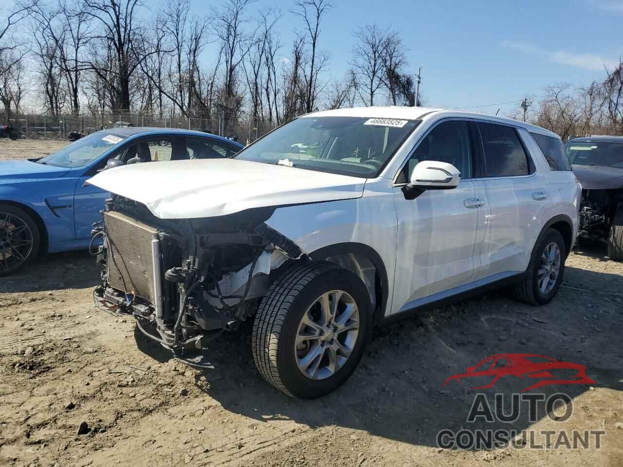 HYUNDAI PALISADE 2022 - KM8R1DHE9NU380057