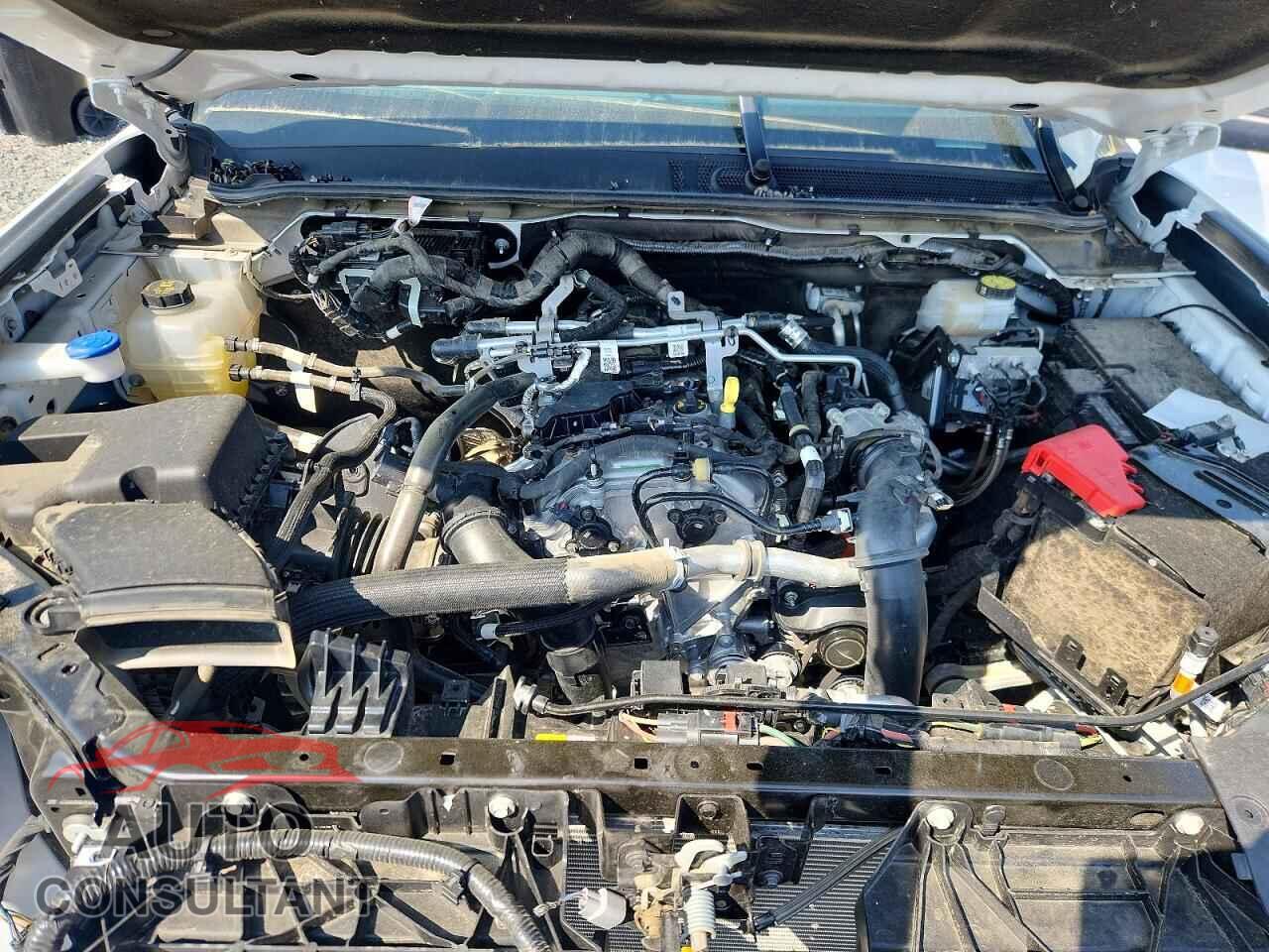 FORD RANGER 2025 - 1FTER4PHXSLE07923