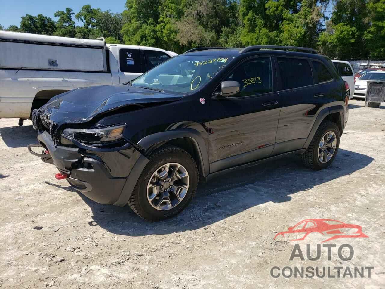 JEEP CHEROKEE 2019 - 1C4PJMBX8KD260459