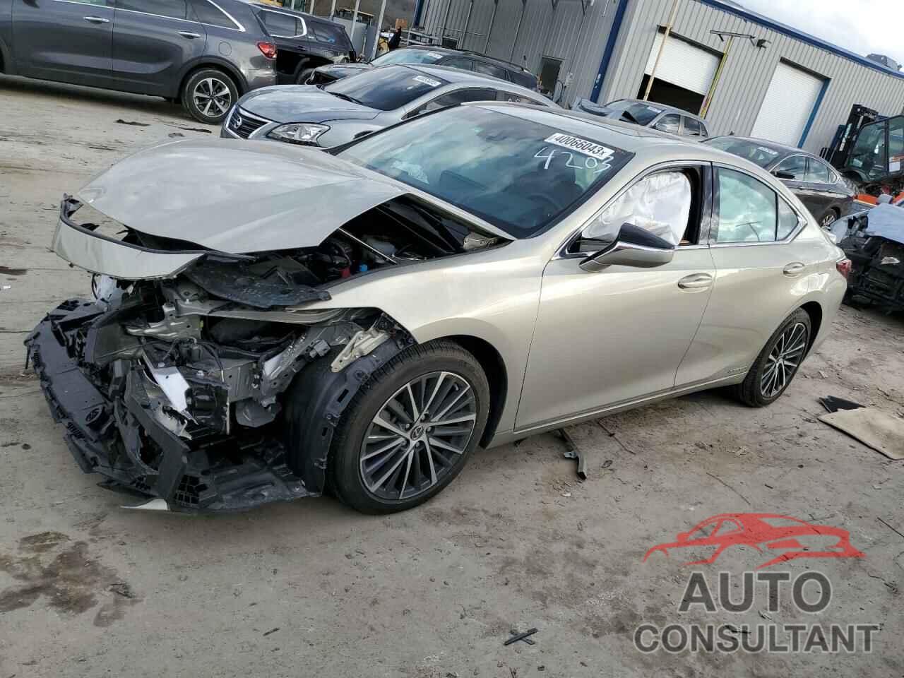 LEXUS ES300 2022 - 58ADA1C19NU014203