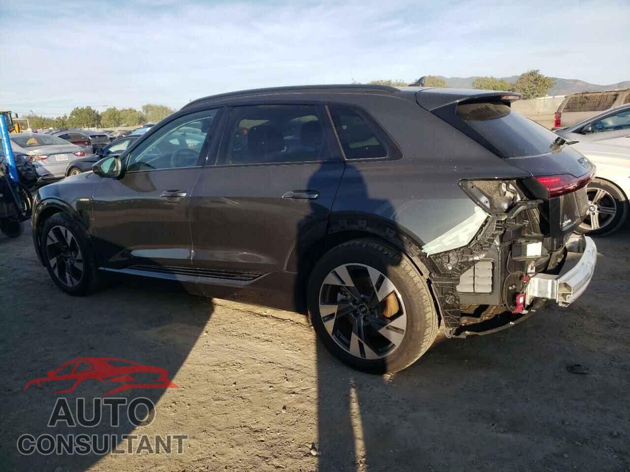 AUDI E-TRON 2022 - WA1AAAGE0NB002829
