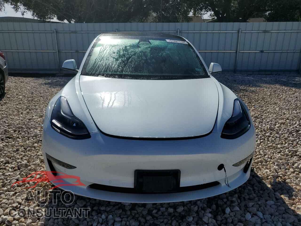 TESLA MODEL 3 2021 - 5YJ3E1EA3MF092220
