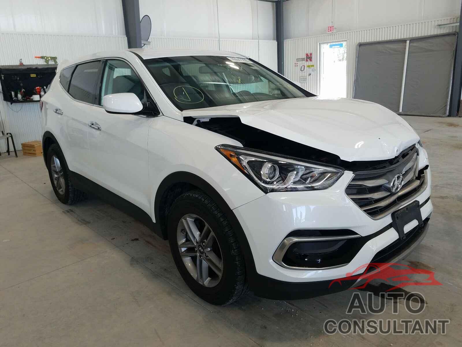 HYUNDAI SANTA FE 2017 - 5NMZTDLB8HH027915