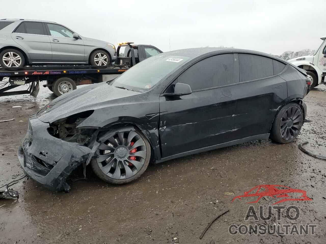 TESLA MODEL Y 2022 - 7SAYGDEF7NF307891