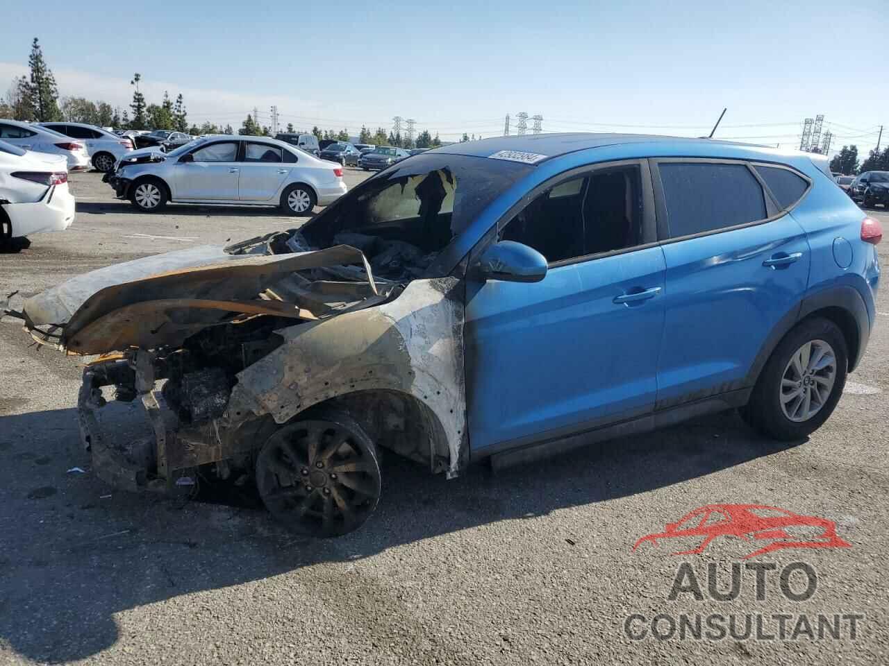 HYUNDAI TUCSON 2017 - KM8J23A44HU496387