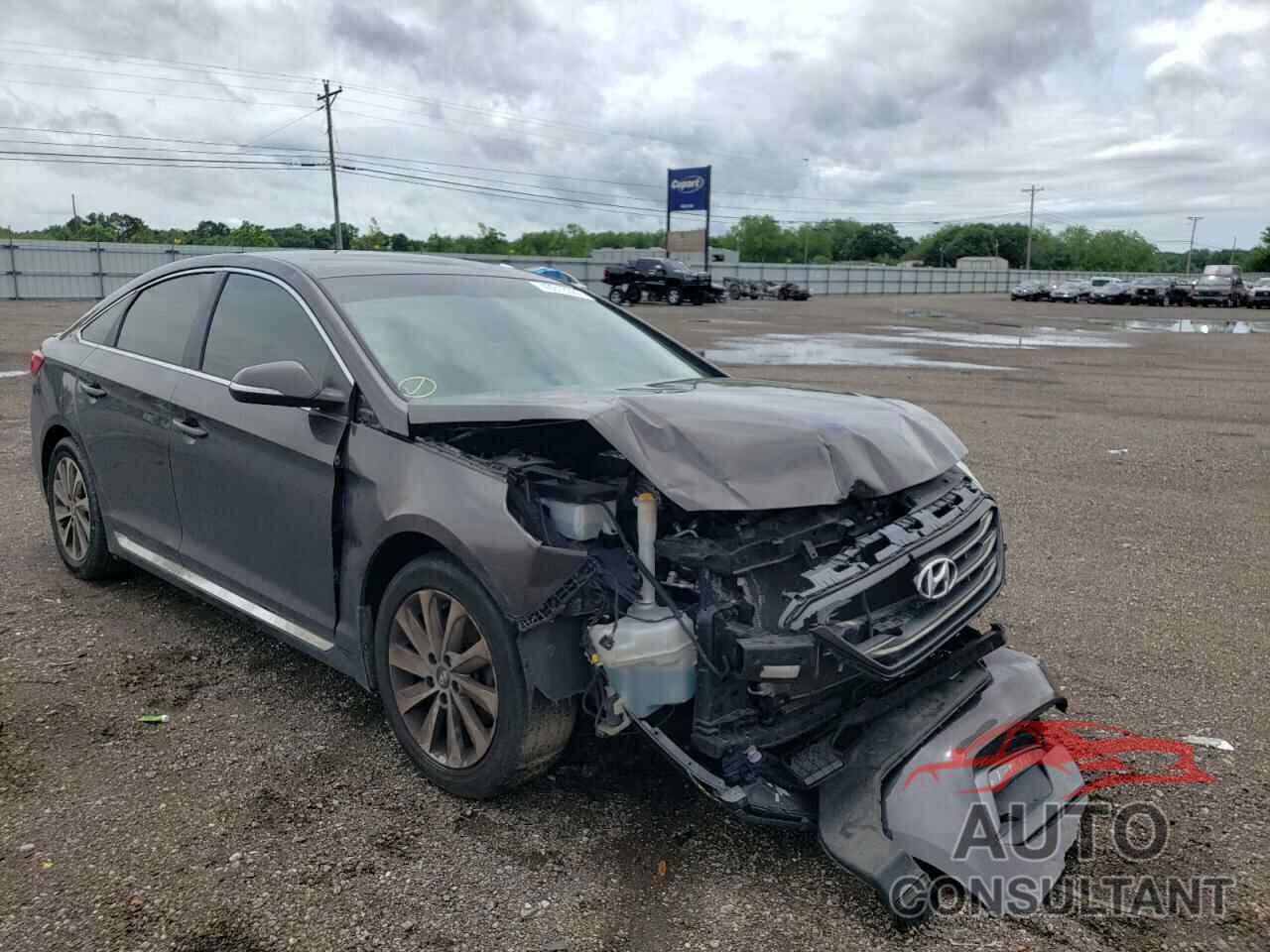 HYUNDAI SONATA 2017 - 5NPE34AF3HH559760