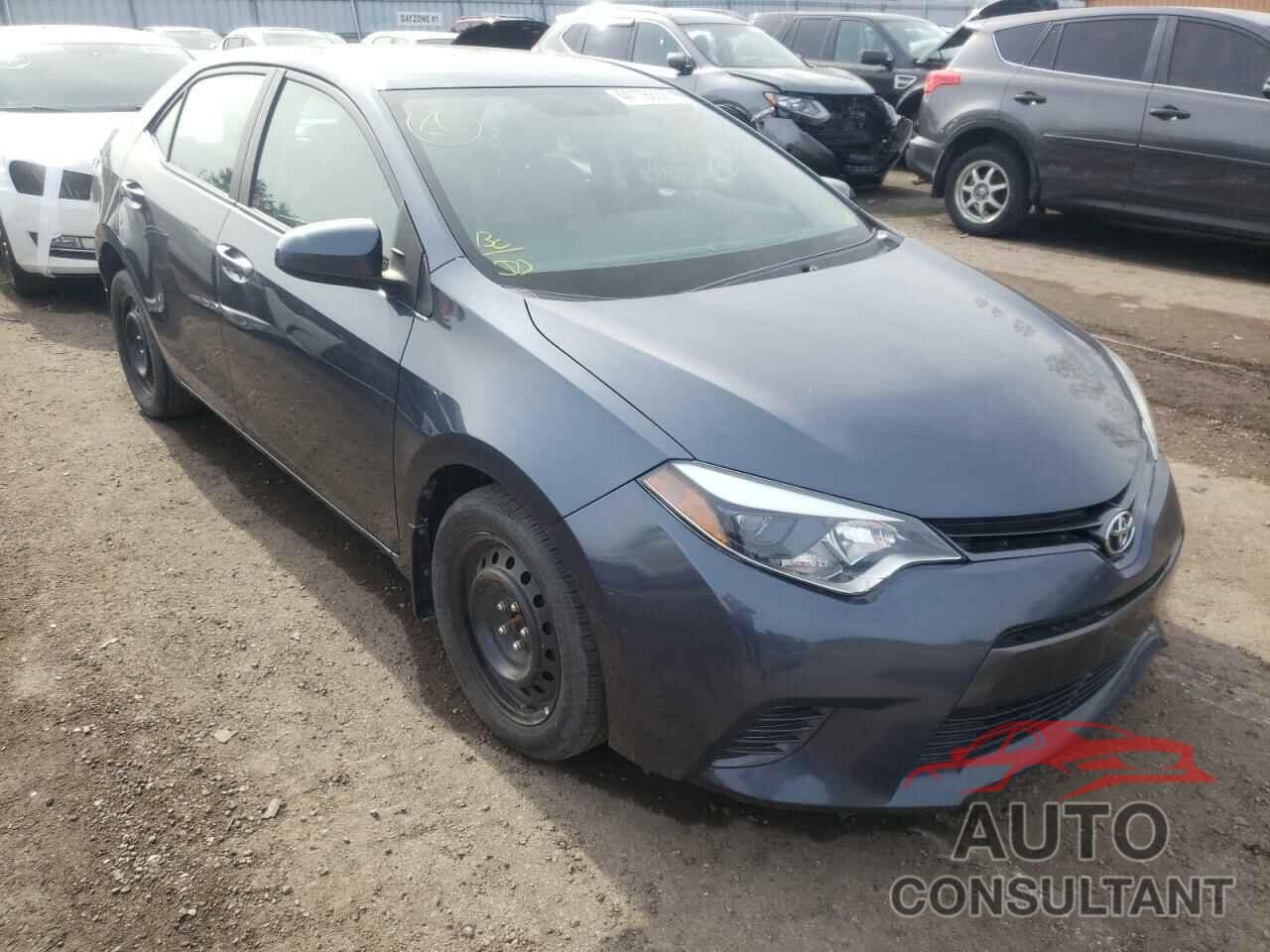 TOYOTA COROLLA 2016 - 2T1BURHEXGC541882
