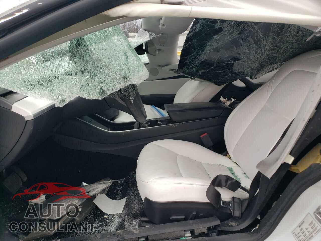 TESLA MODEL 3 2019 - 5YJ3E1EB3KF469537