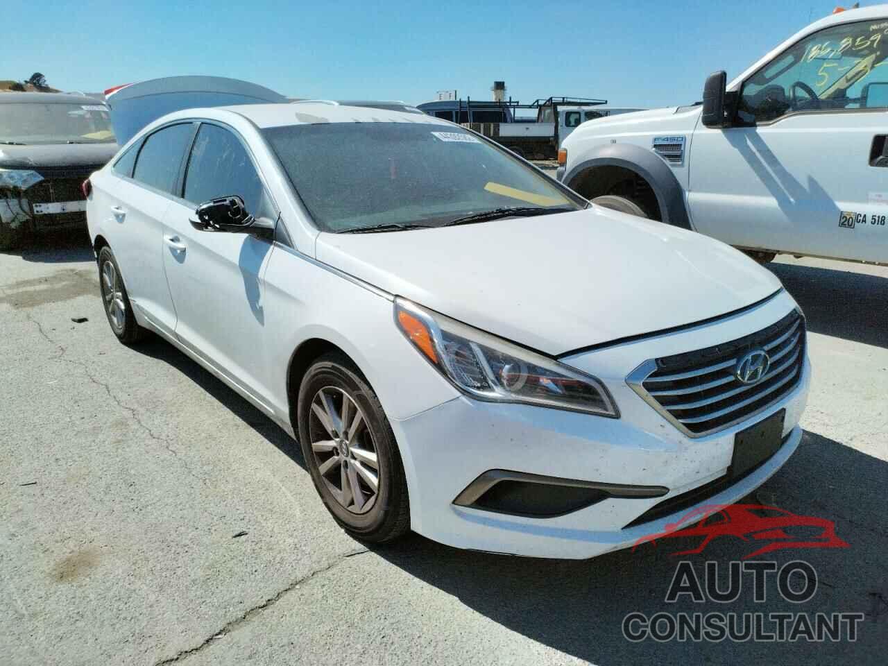 HYUNDAI SONATA 2017 - 5NPE24AF5HH451689