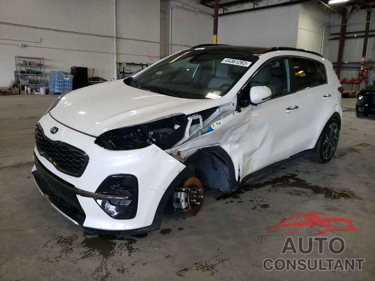 KIA SPORTAGE 2021 - KNDPR3A60M7928543