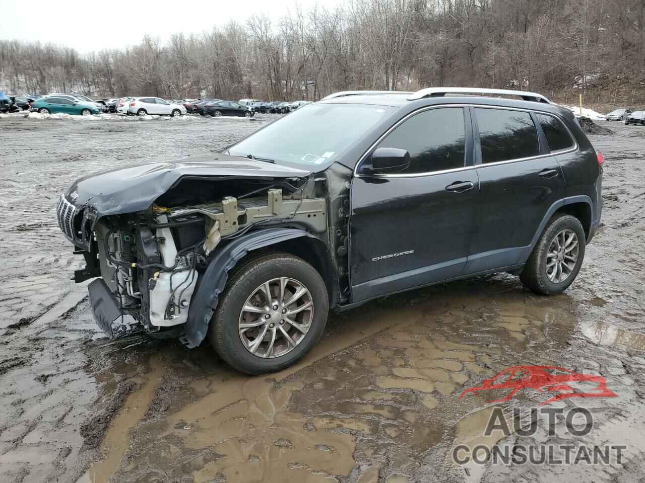 JEEP GRAND CHER 2019 - 1C4PJMLB5KD177283