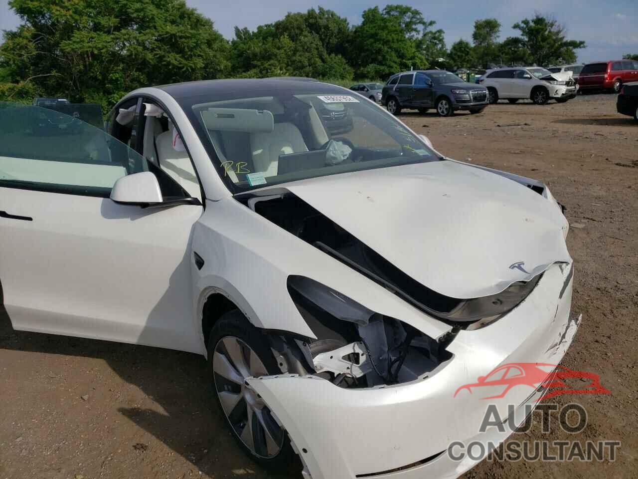 TESLA MODEL Y 2021 - 5YJYGDEE8MF083095