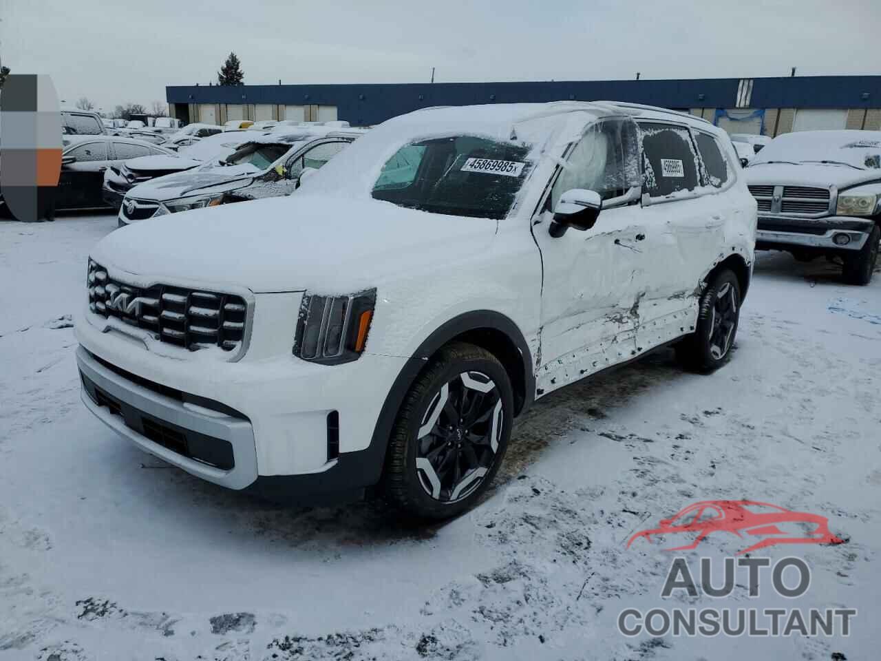 KIA TELLURIDE 2024 - 5XYP6DGC2RG564261