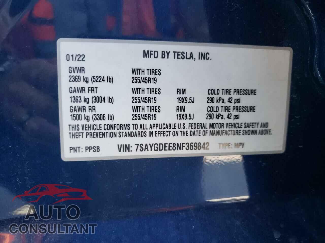 TESLA MODEL Y 2022 - 7SAYGDEE8NF369842
