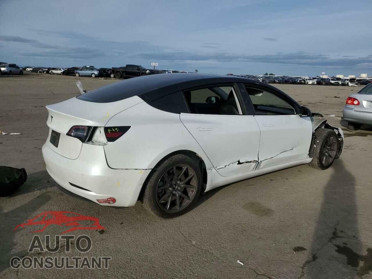 TESLA MODEL 3 2019 - 5YJ3E1EA1KF485677
